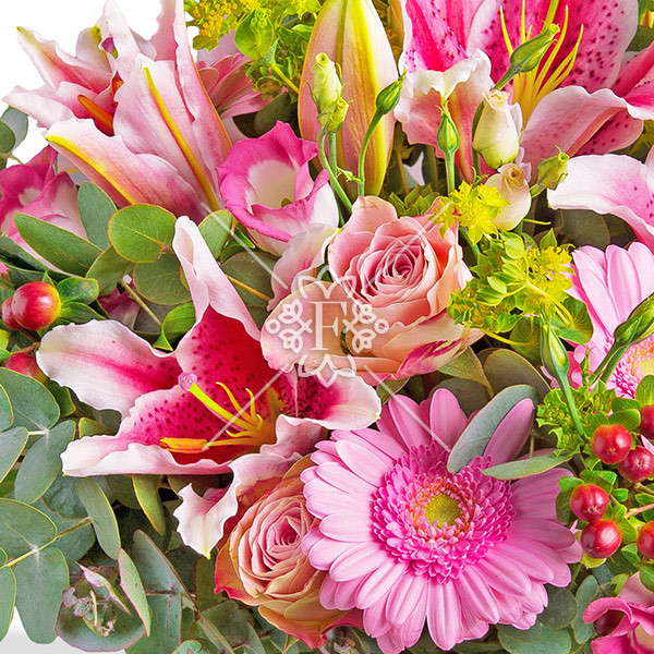 Тропиканка